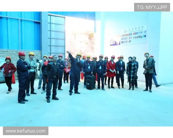 尊龙网站登录入口无法登录的常见原因及解决方案全攻略