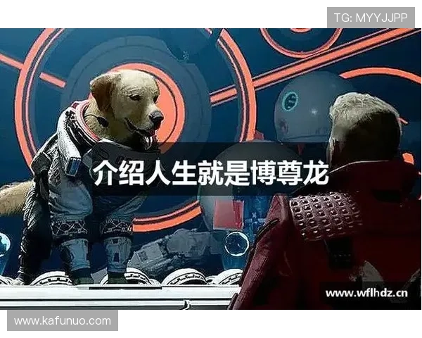 尊龙人生就是博登录入口：多渠道登录方式介绍及其安全性分析
